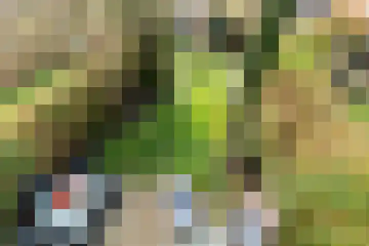 De Genestetstraat 16 Capelle aan den IJssel thumbnail 33