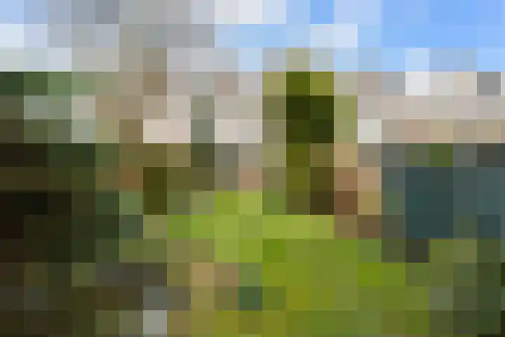 De Genestetstraat 16 Capelle aan den IJssel thumbnail 34