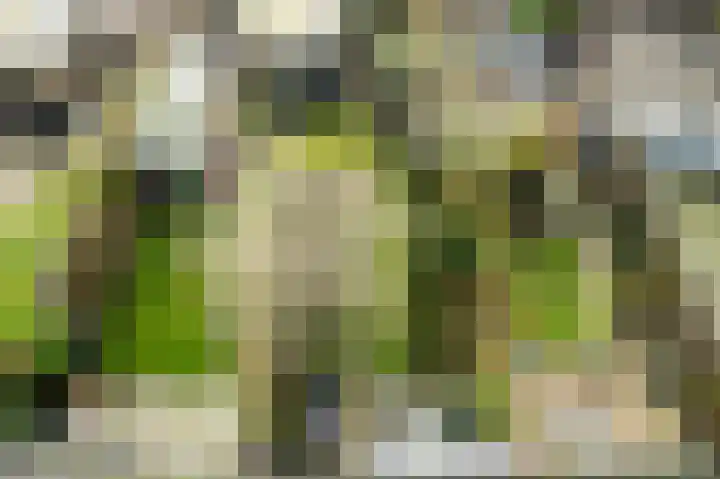 De Genestetstraat 16 Capelle aan den IJssel thumbnail 36