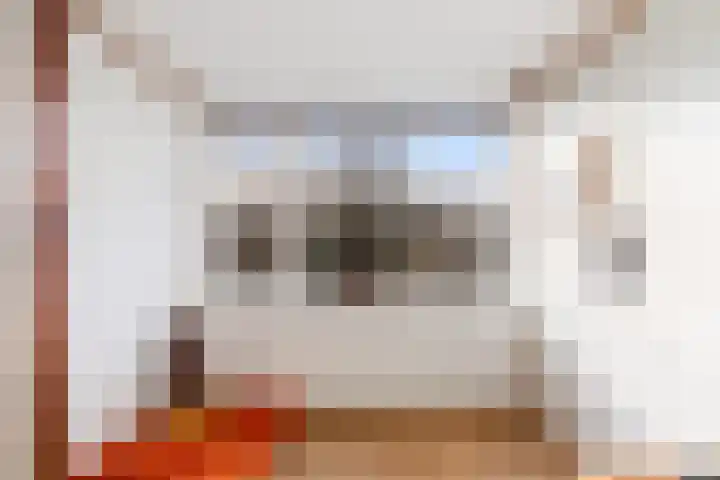 De Genestetstraat 16 Capelle aan den IJssel thumbnail 39