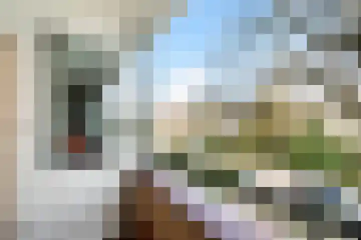 De Genestetstraat 16 Capelle aan den IJssel thumbnail 46