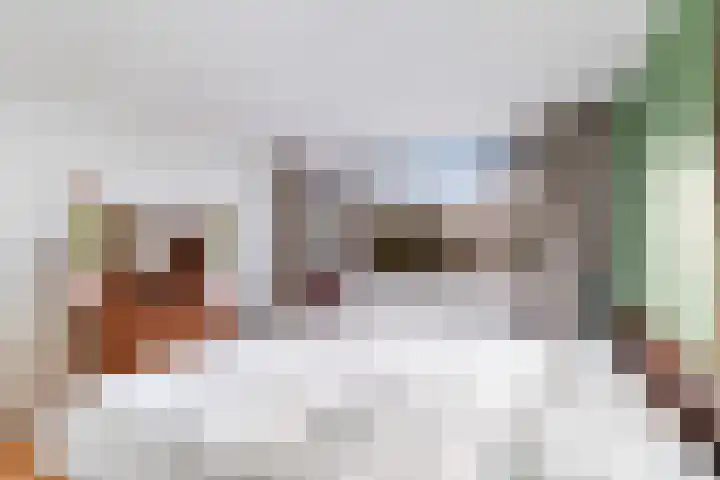 De Genestetstraat 16 Capelle aan den IJssel thumbnail 48