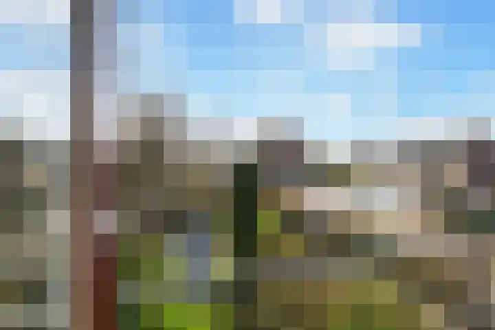 De Genestetstraat 16 Capelle aan den IJssel thumbnail 50