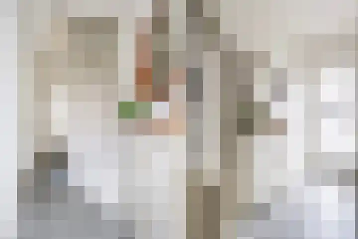De Genestetstraat 17 Zwolle thumbnail 5