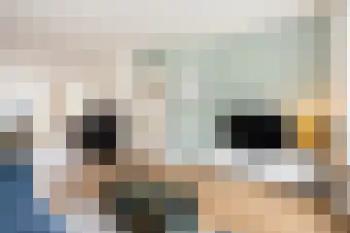 De Genestetstraat 17 Zwolle thumbnail 8