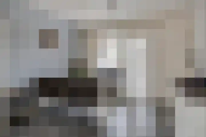 De Genestetstraat 18 Etten-Leur thumbnail 13