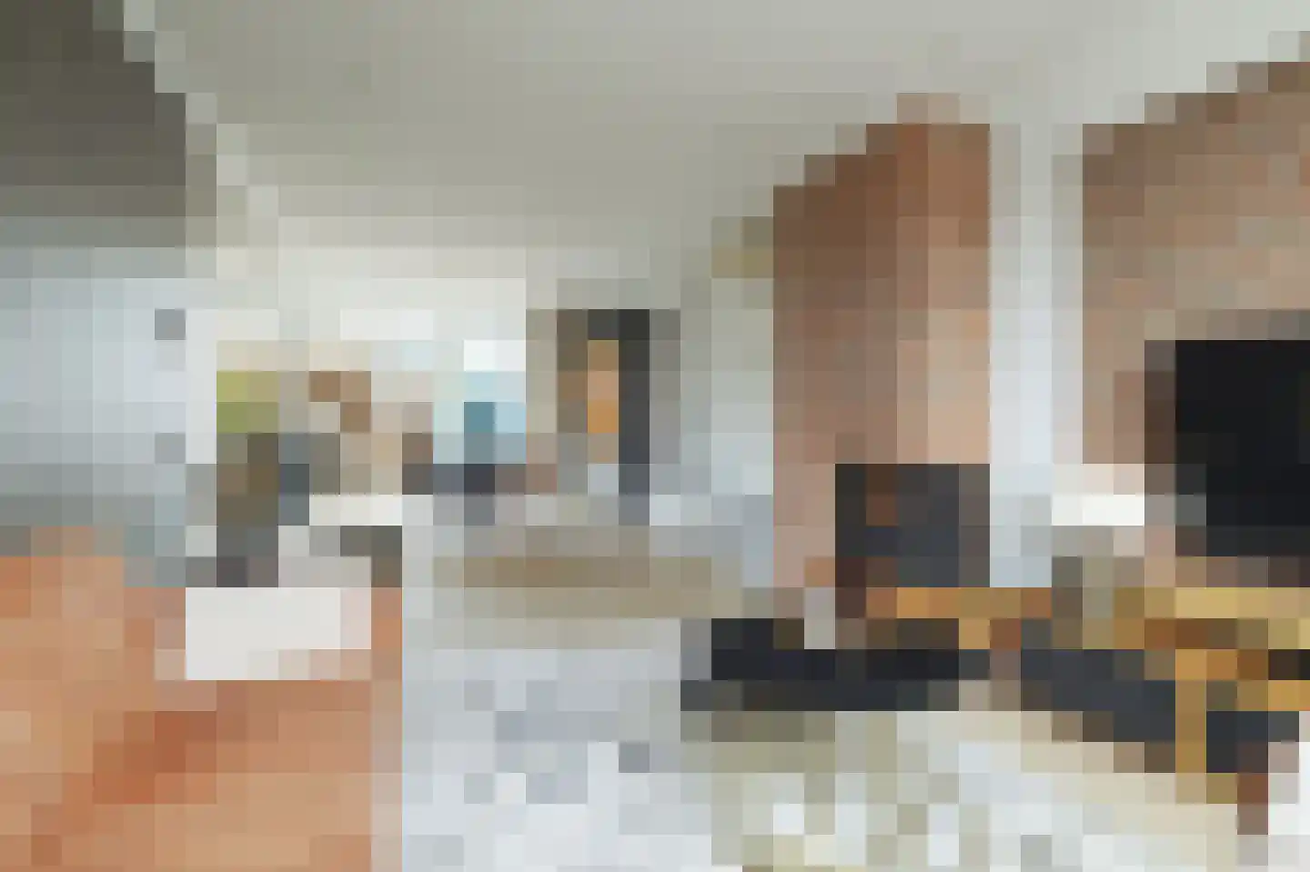 De Genestetstraat 19 Ridderkerk thumbnail 11
