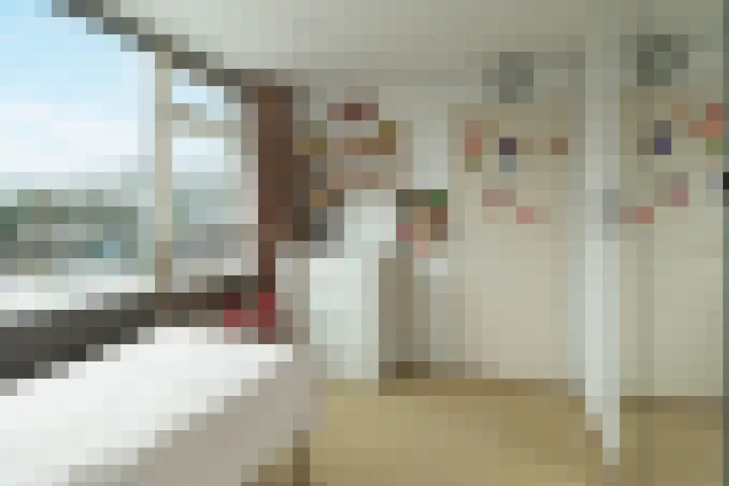 De Genestetstraat 19 Ridderkerk thumbnail 22
