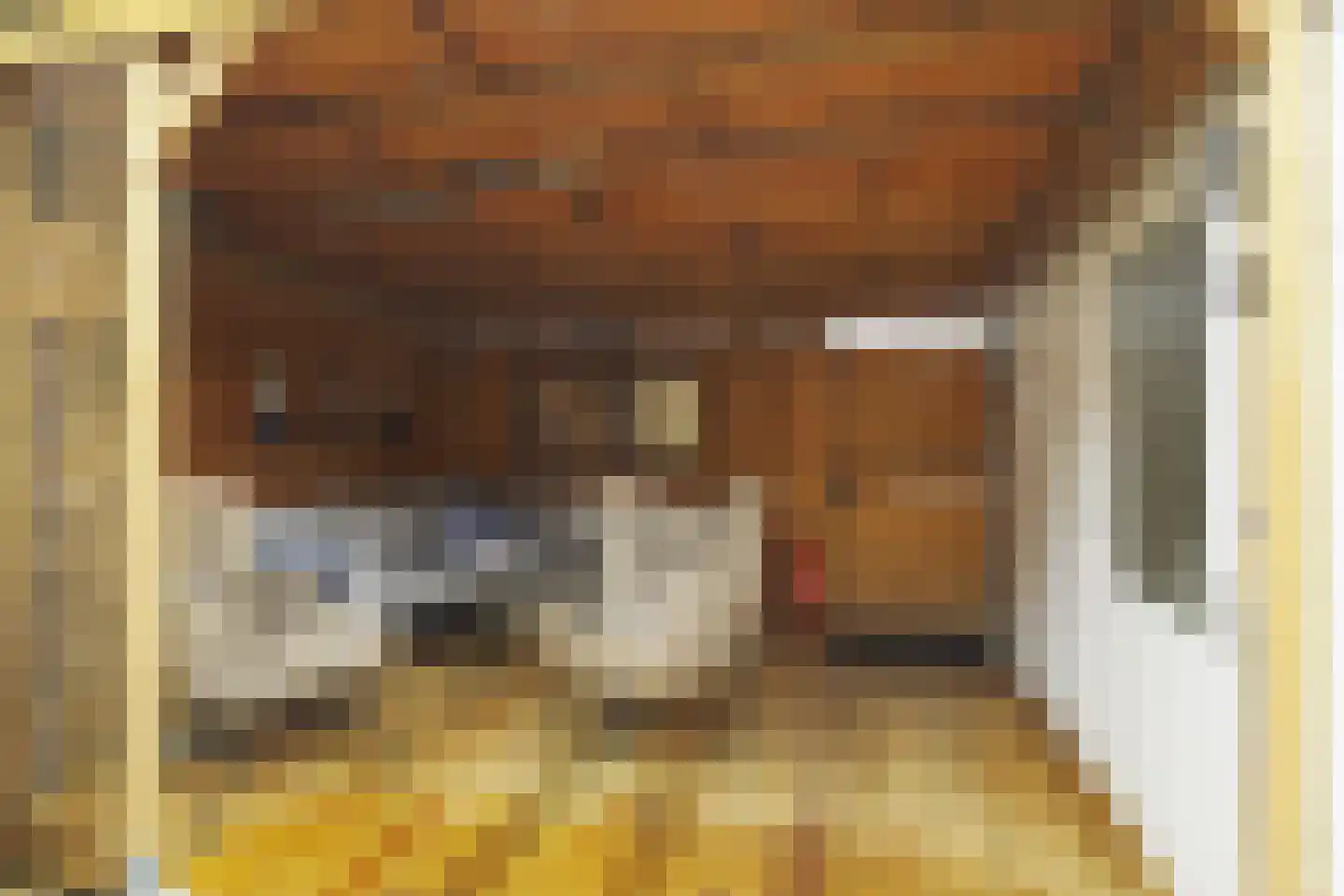 De Genestetstraat 19 Ridderkerk thumbnail 28