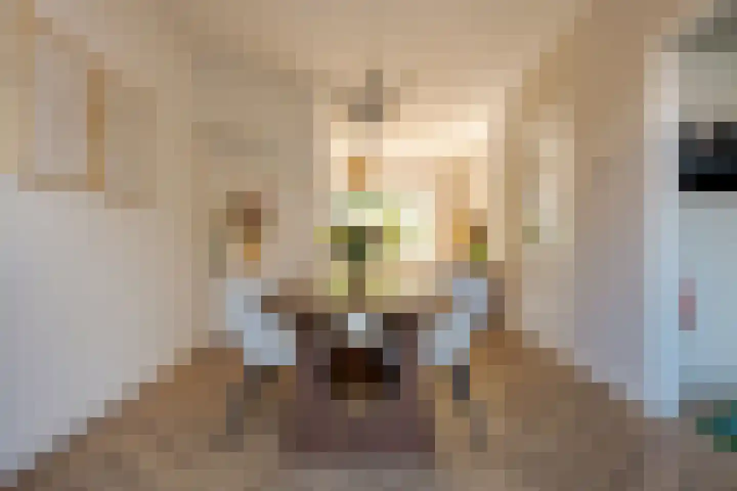 De Genestetstraat 19 Zwolle thumbnail 17