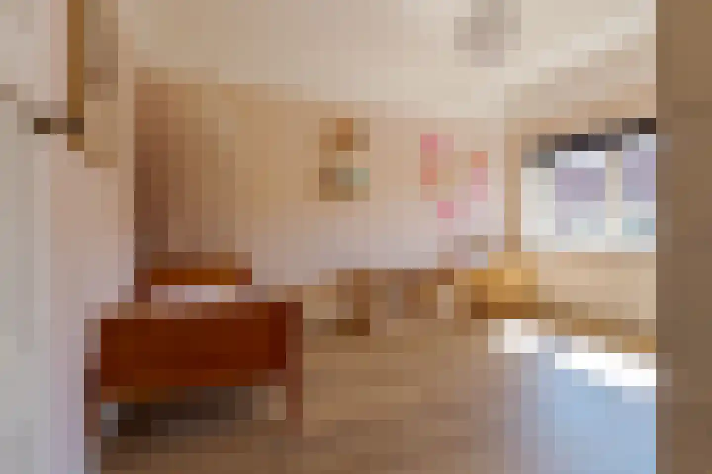 De Genestetstraat 19 Zwolle thumbnail 41