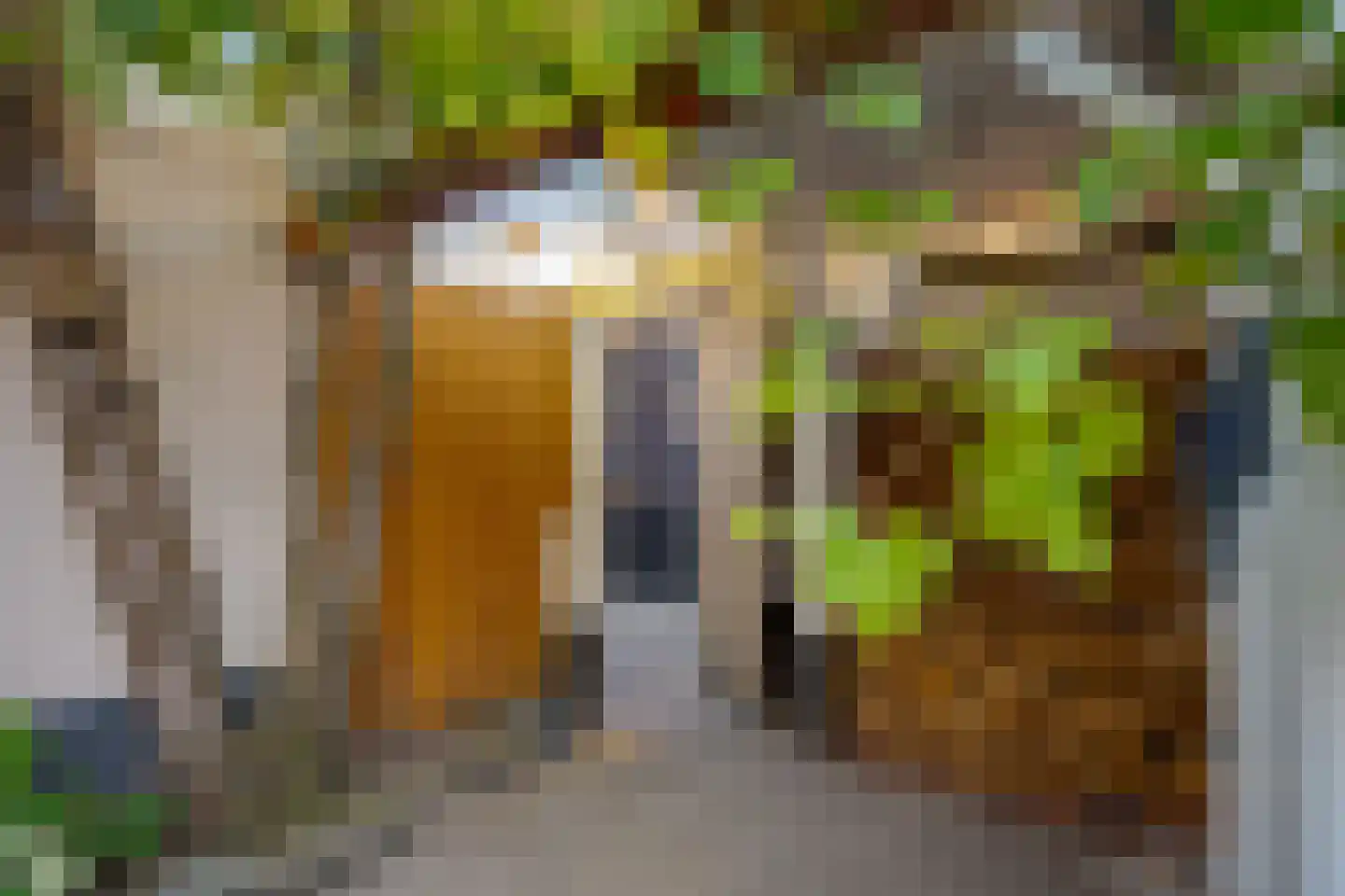 De Genestetstraat 19 Zwolle thumbnail 50