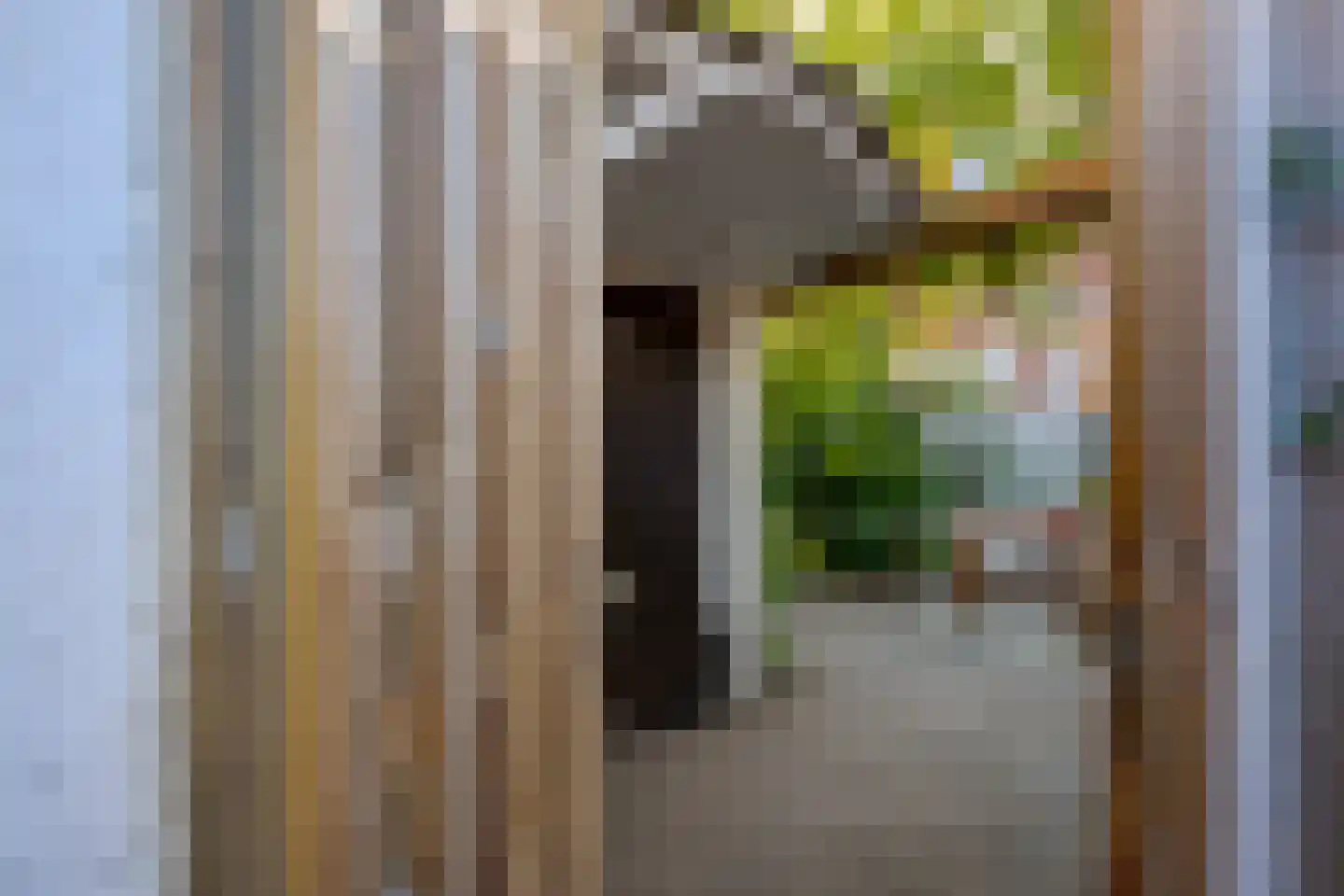 De Genestetstraat 19 Zwolle thumbnail 51