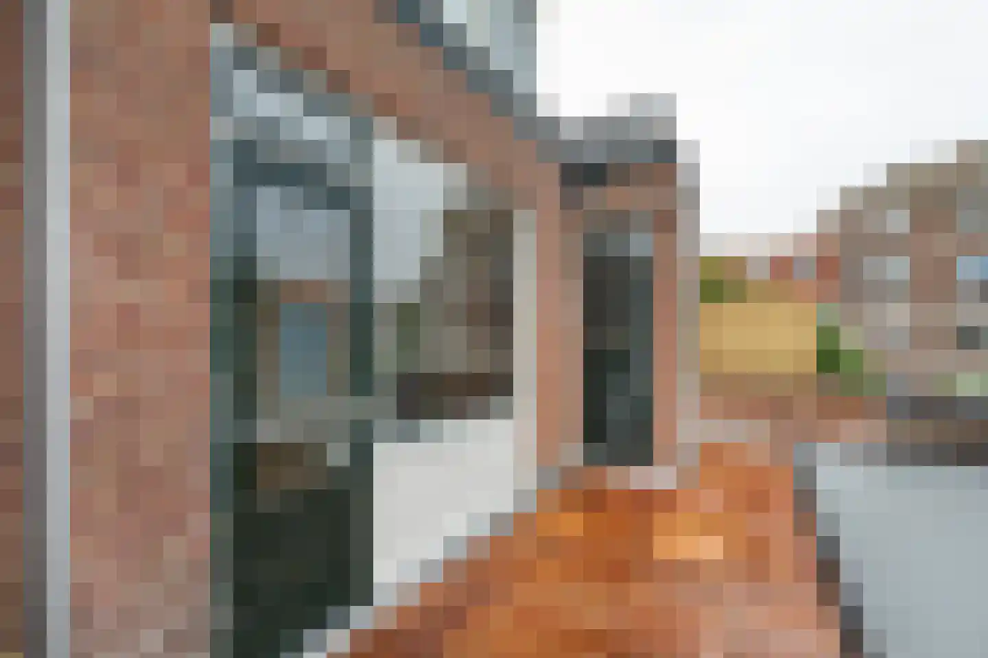 De Genestetstraat 2 B Leiden thumbnail 21