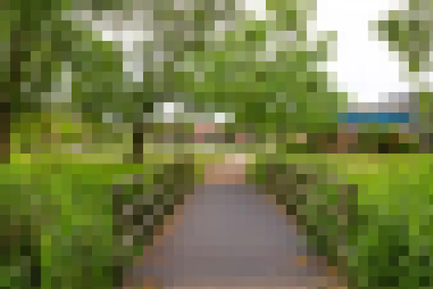 De Genestetstraat 2 B Leiden thumbnail 24