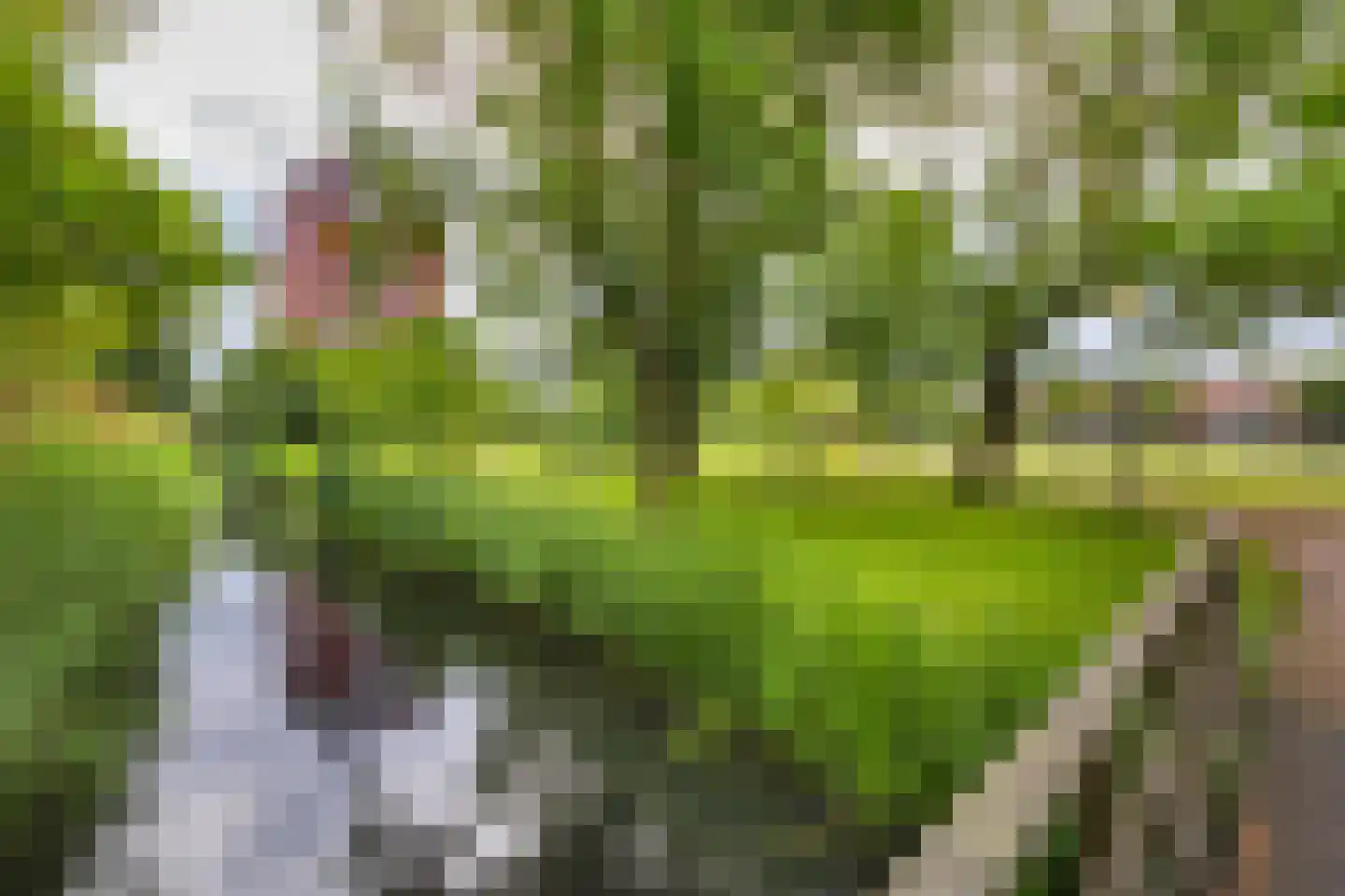 De Genestetstraat 2 B Leiden thumbnail 25