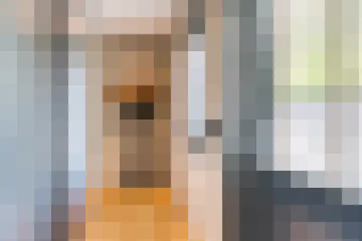 De Genestetstraat 2 Barneveld thumbnail 15