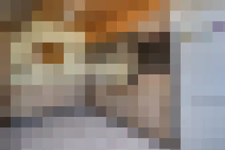 De Genestetstraat 21 Capelle aan den IJssel thumbnail 11