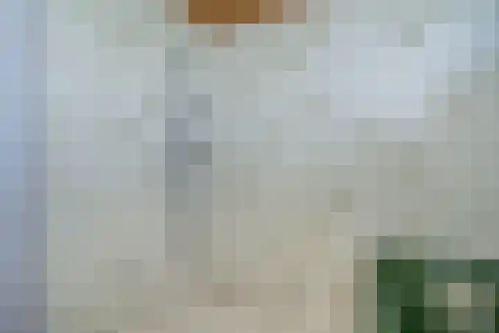 De Genestetstraat 21 Capelle aan den IJssel thumbnail 21