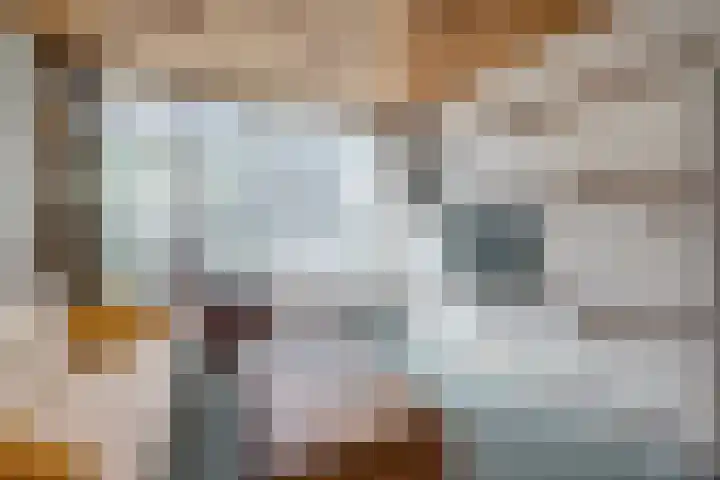 De Genestetstraat 21 Capelle aan den IJssel thumbnail 5