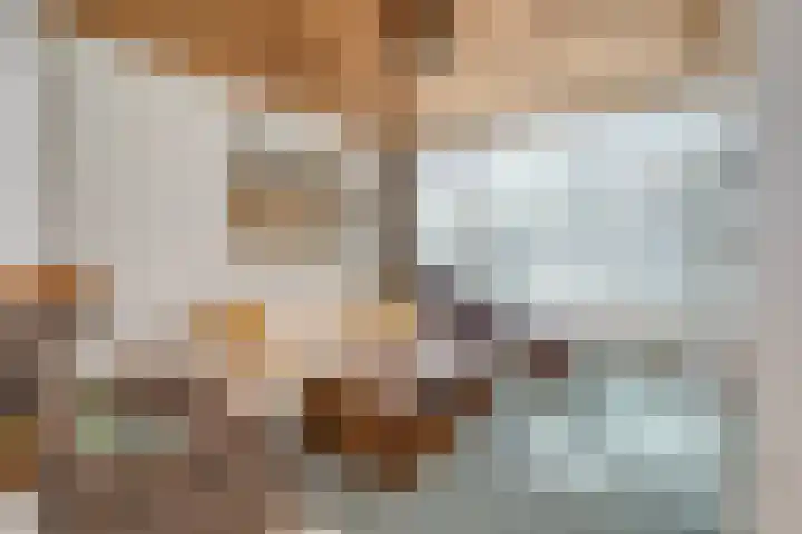 De Genestetstraat 21 Capelle aan den IJssel thumbnail 7