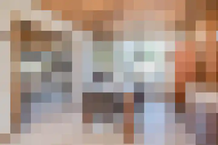 De Genestetstraat 21 Capelle aan den IJssel thumbnail 8