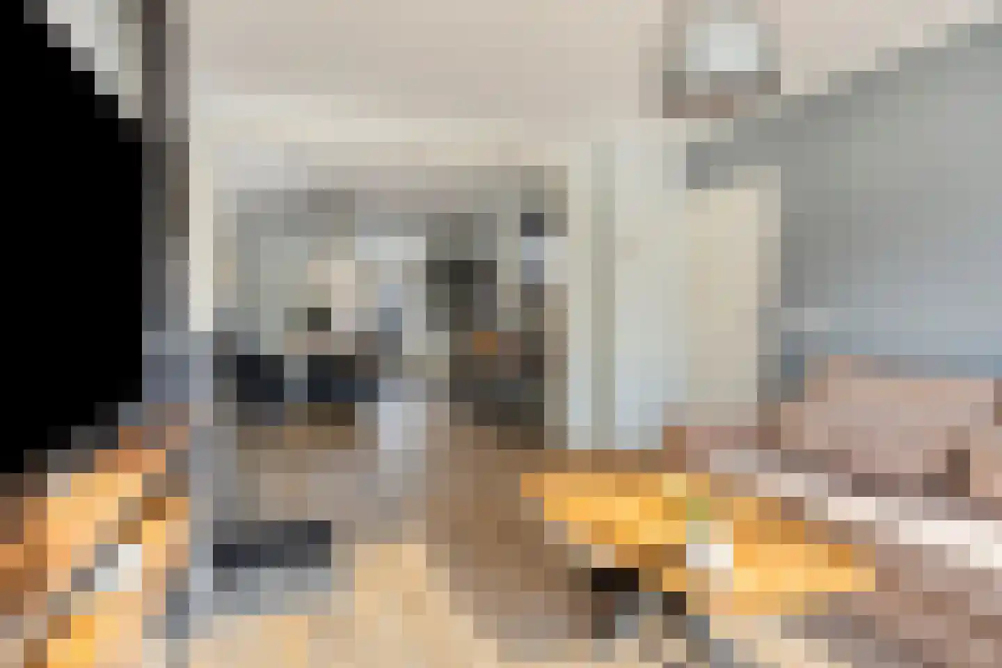 De Génestetstraat 21 Papendrecht thumbnail 12