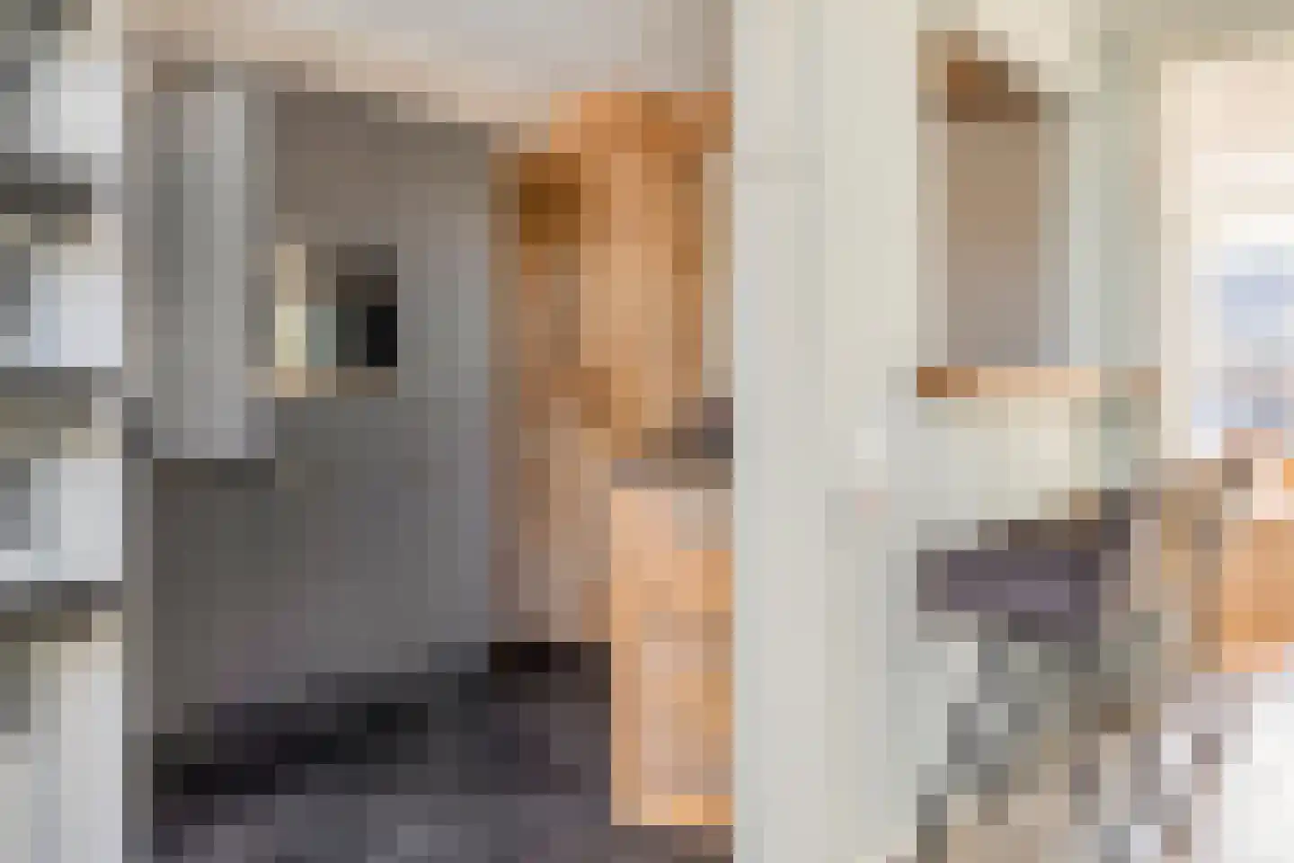 De Génestetstraat 21 Papendrecht thumbnail 17