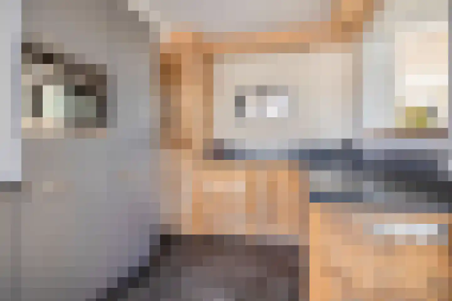 De Génestetstraat 21 Papendrecht thumbnail 18
