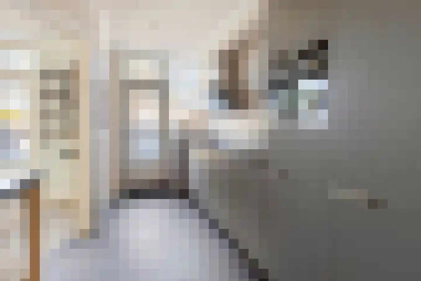 De Génestetstraat 21 Papendrecht thumbnail 19