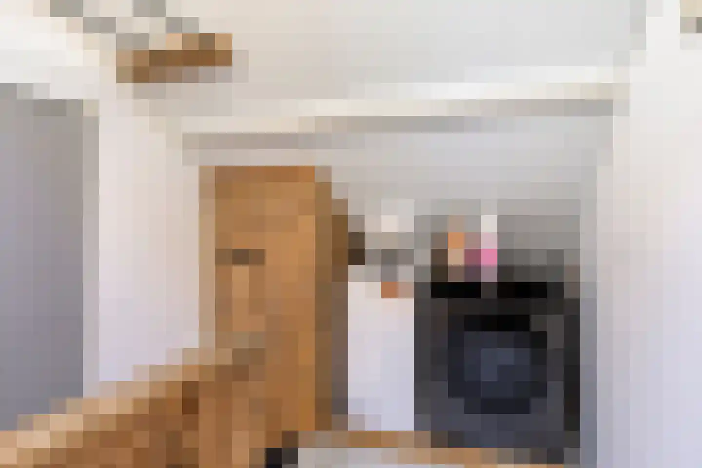 De Génestetstraat 21 Papendrecht thumbnail 34