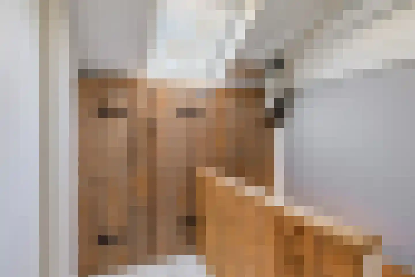 De Génestetstraat 21 Papendrecht thumbnail 35