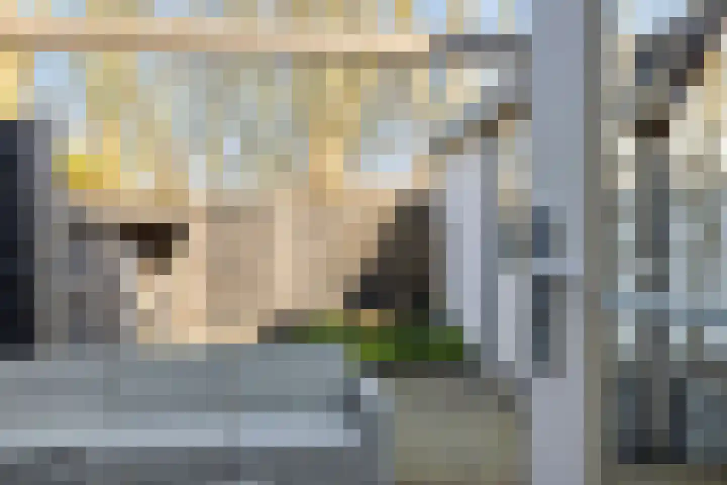 De Génestetstraat 21 Papendrecht thumbnail 38