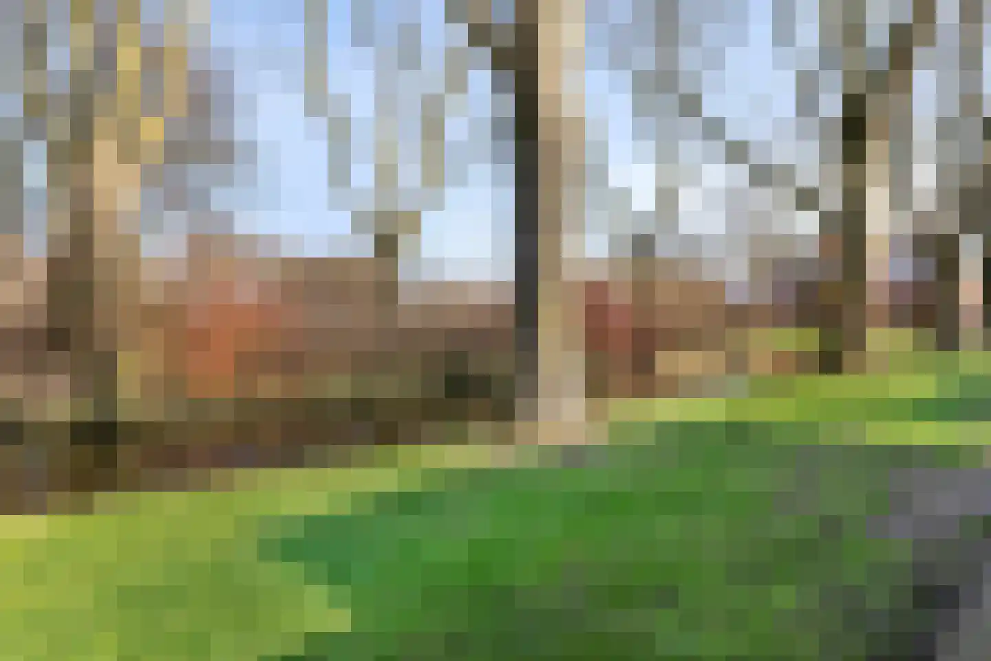De Génestetstraat 21 Papendrecht thumbnail 42