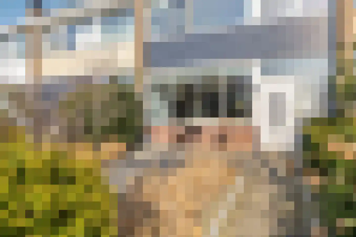 De Génestetstraat 21 Papendrecht thumbnail 7