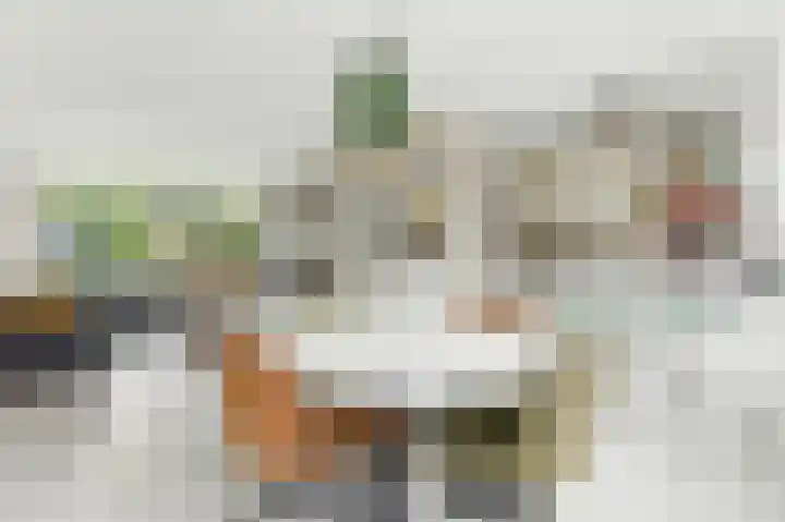 De Genestetstraat 21 Ridderkerk thumbnail 10