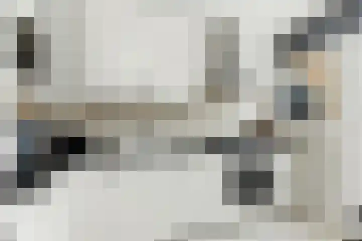 De Genestetstraat 21 Ridderkerk thumbnail 11