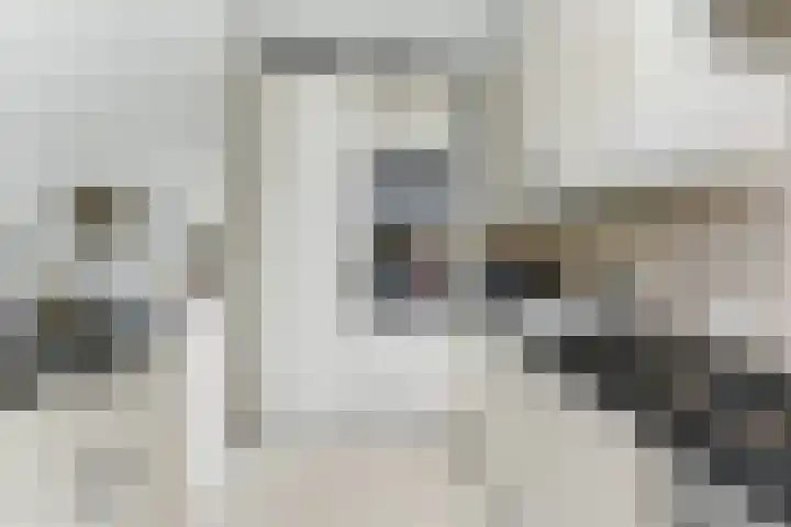 De Genestetstraat 21 Ridderkerk thumbnail 12