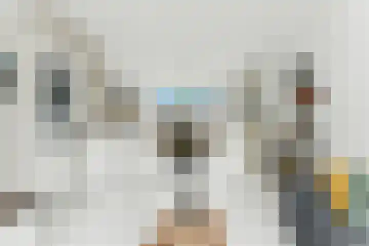 De Genestetstraat 21 Ridderkerk thumbnail 5