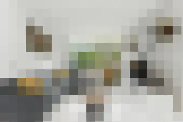 De Genestetstraat 21 Ridderkerk thumbnail 6