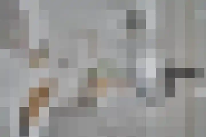 de Genestetstraat 21 Venlo thumbnail 12