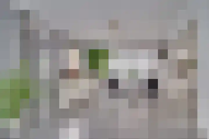 de Genestetstraat 21 Venlo thumbnail 4