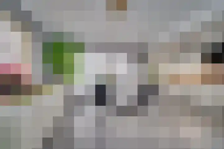 de Genestetstraat 21 Venlo thumbnail 5