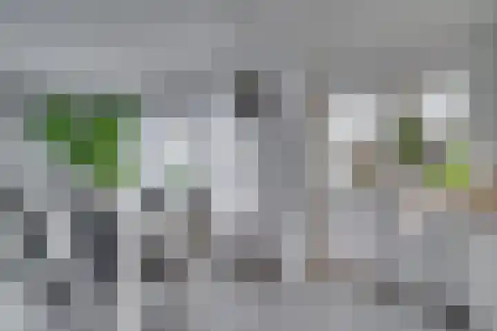 de Genestetstraat 21 Venlo thumbnail 7