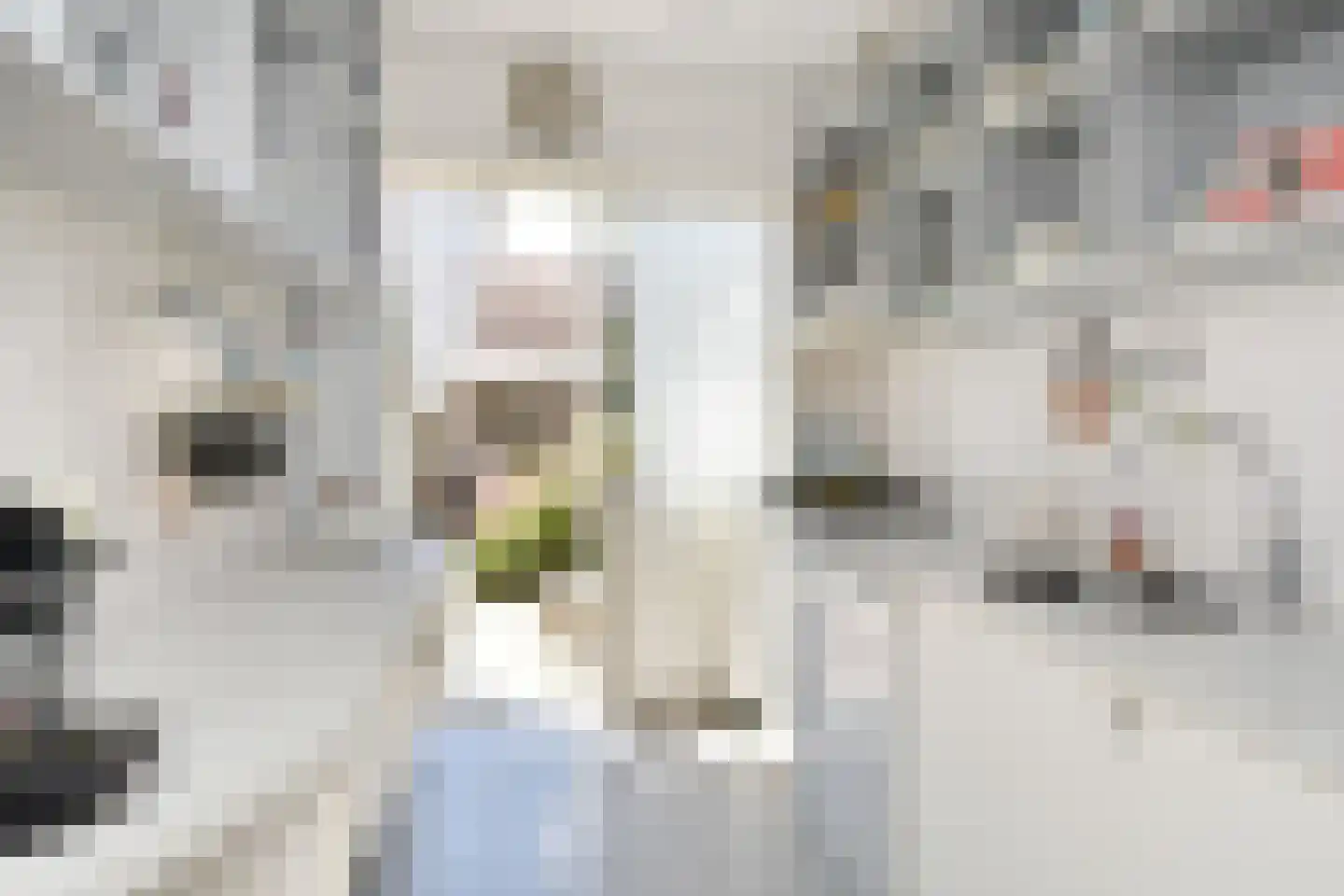 De Genestetstraat 25 Voorburg thumbnail 14