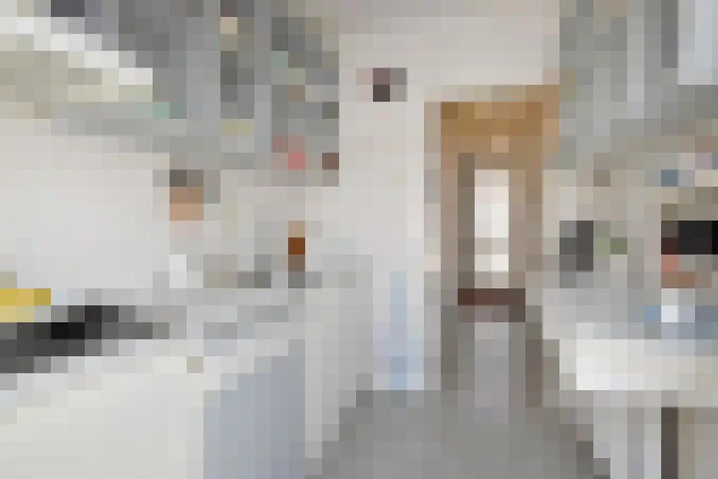 De Genestetstraat 25 Voorburg thumbnail 15