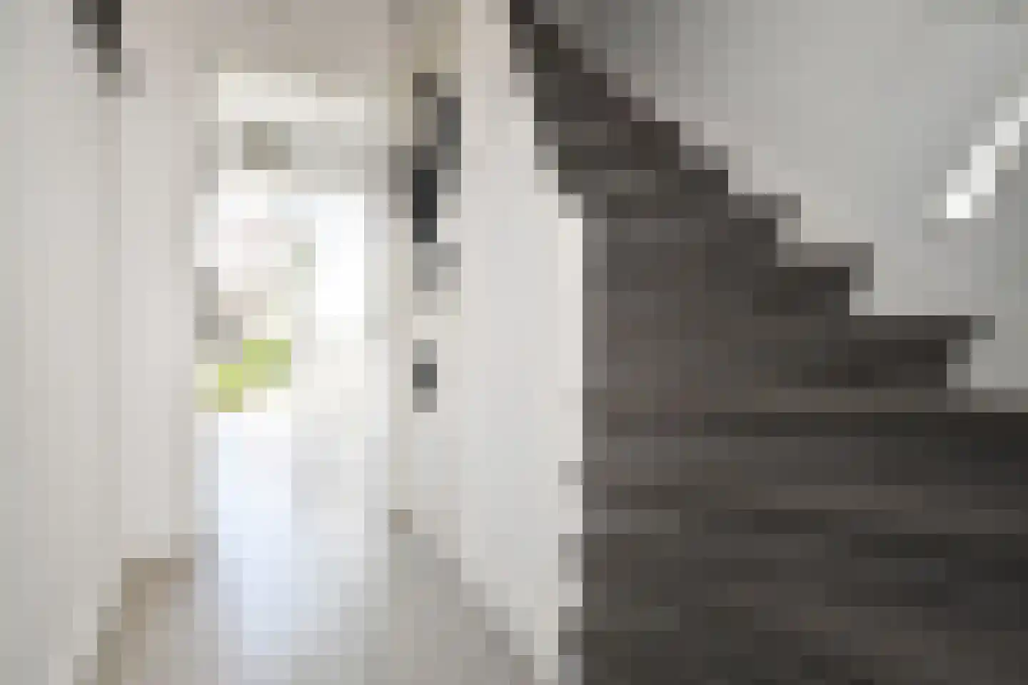 De Genestetstraat 25 Voorburg thumbnail 16