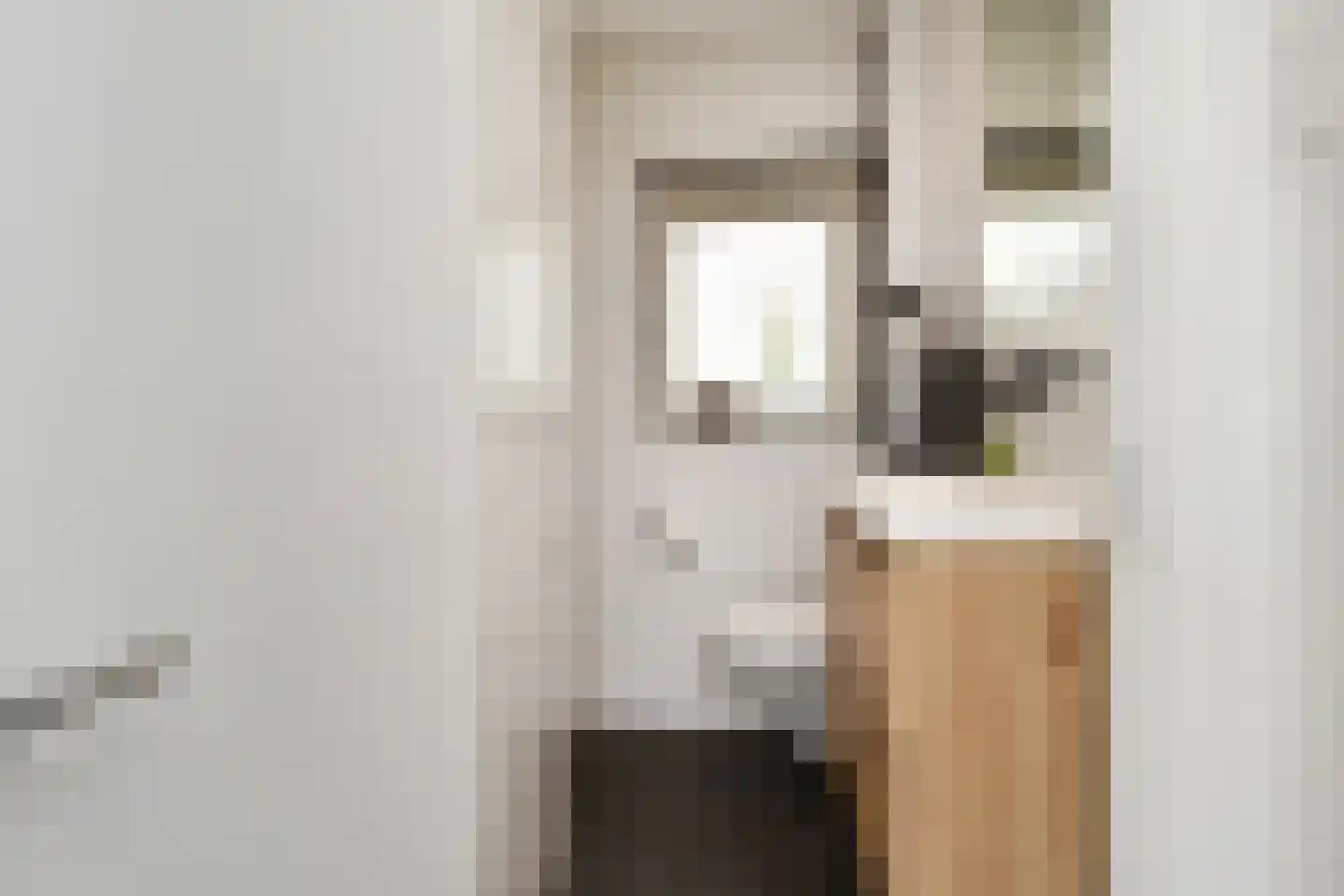 De Genestetstraat 25 Voorburg thumbnail 20