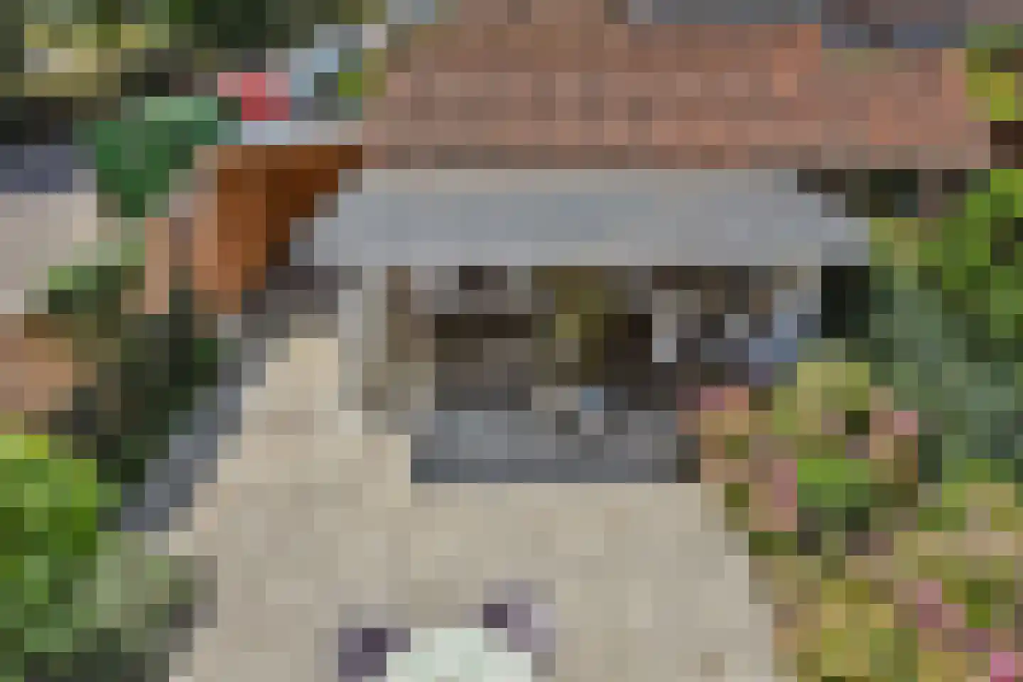 De Genestetstraat 25 Voorburg thumbnail 33