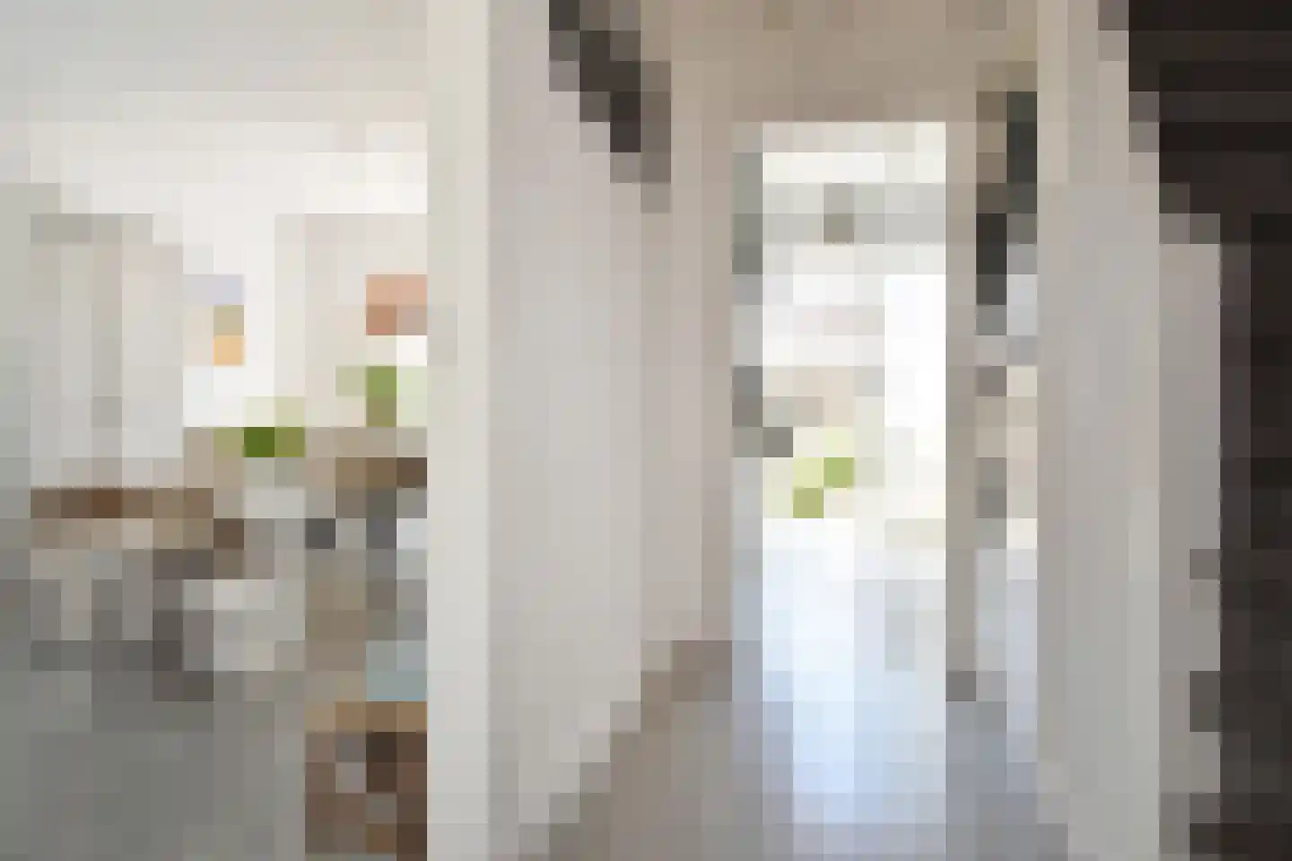 De Genestetstraat 25 Voorburg thumbnail 7
